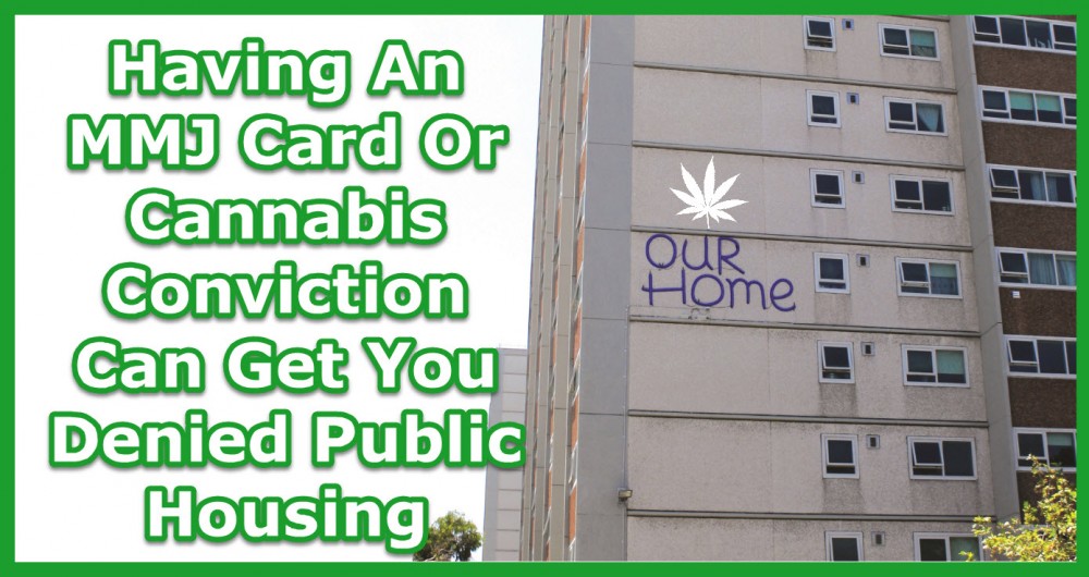 MEDICAL MARIJUANA CARD IN PUBLIC HOUSING