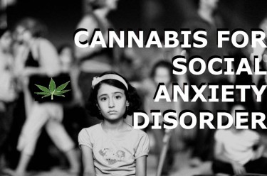 CANNABIS FOR SOCIAL ANXIETY IN PEOPLE