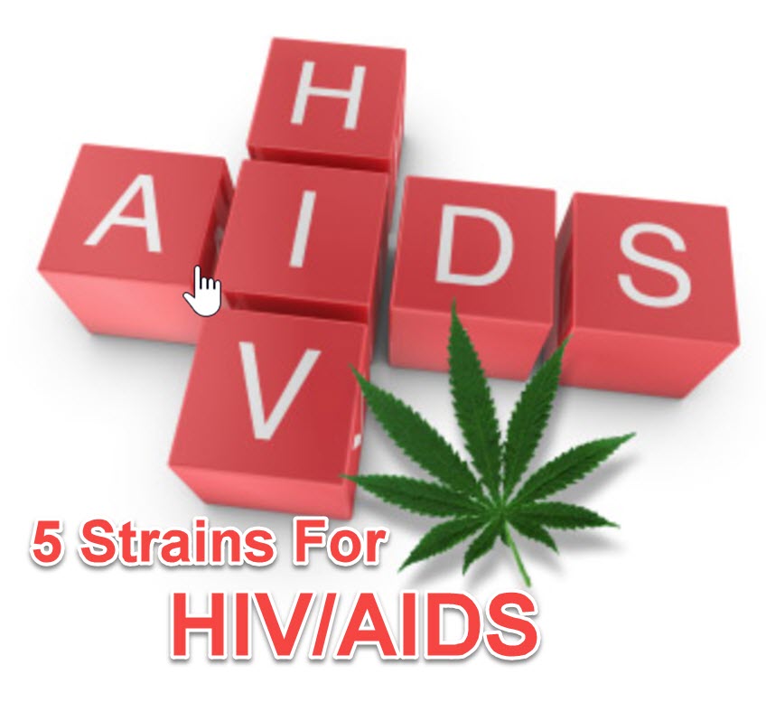 STRAINS FOR HIV AIDS