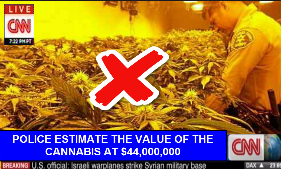 STREET VALUE OF MARIJUANA NUMBERS