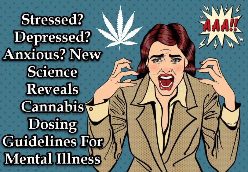 CANNABIS STRESS AND MENTAL ILLNESS