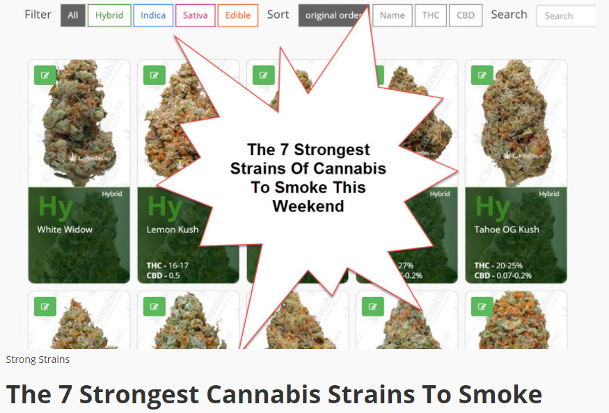 strongest cannabis strains