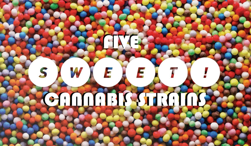 5 Sweet Tasting Cannabis Strains To Try Out