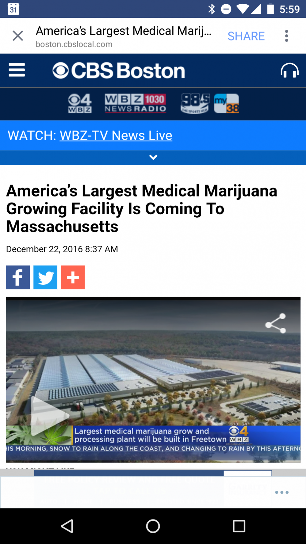 marijuana grow facility in massachusetts