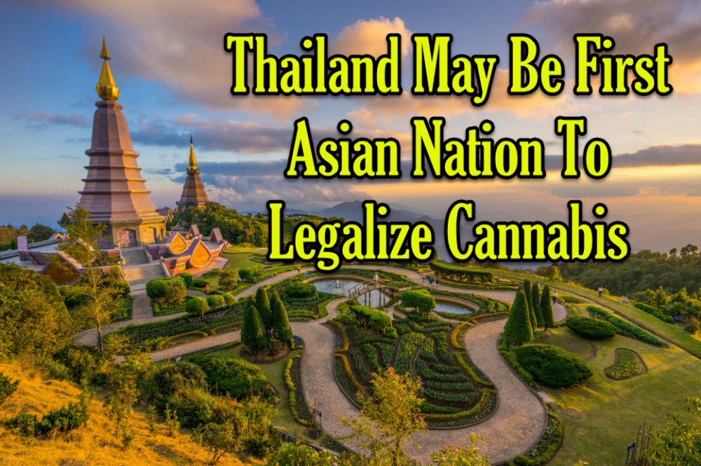 THAILAND LEGALIZES MARIJUANA CANNABIS