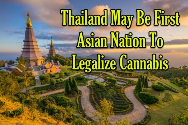 THAILAND LEGALIZES CANNABIS