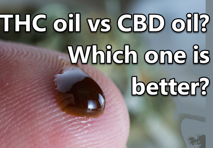 THC OIL OR CBD OIL WHICH ONE IS BETTER