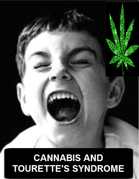 TOURETTES AND MARIJUANA CANNABIS