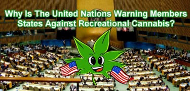 UN on cannabis laws in america