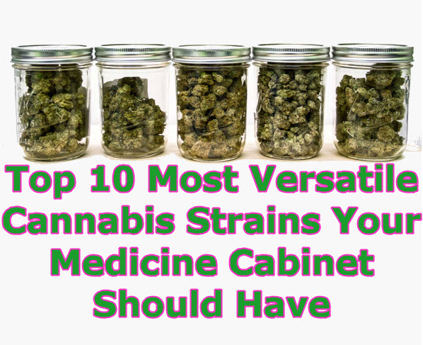 CANNABIS STRAINS FOR EVERYTHING