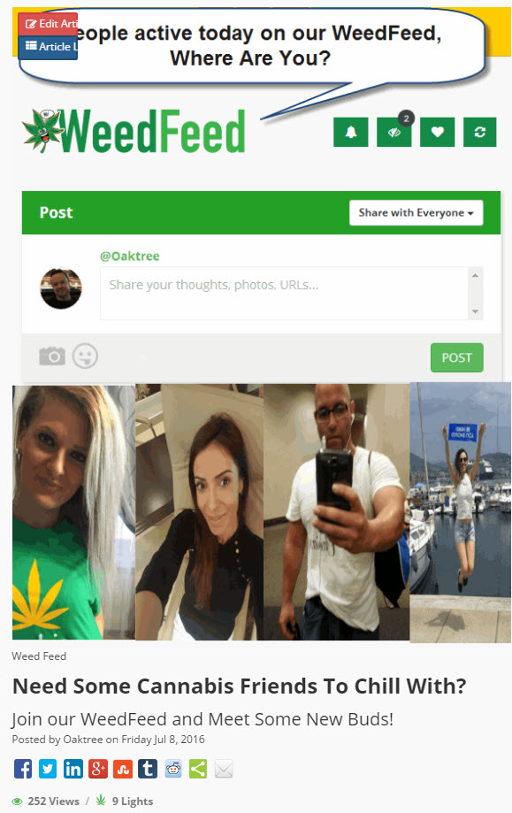 cannabis weedfeed social network