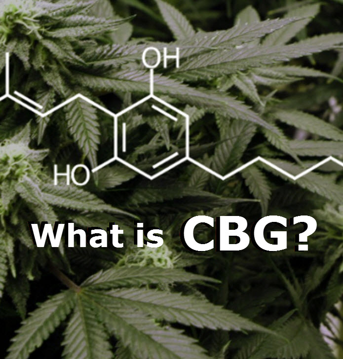 WHAT IS CBG CANNABINOID