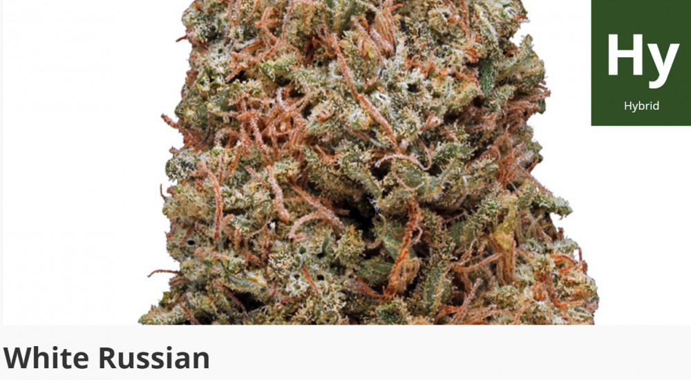 WHITE RUSSIAN