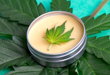 what is cbd salve