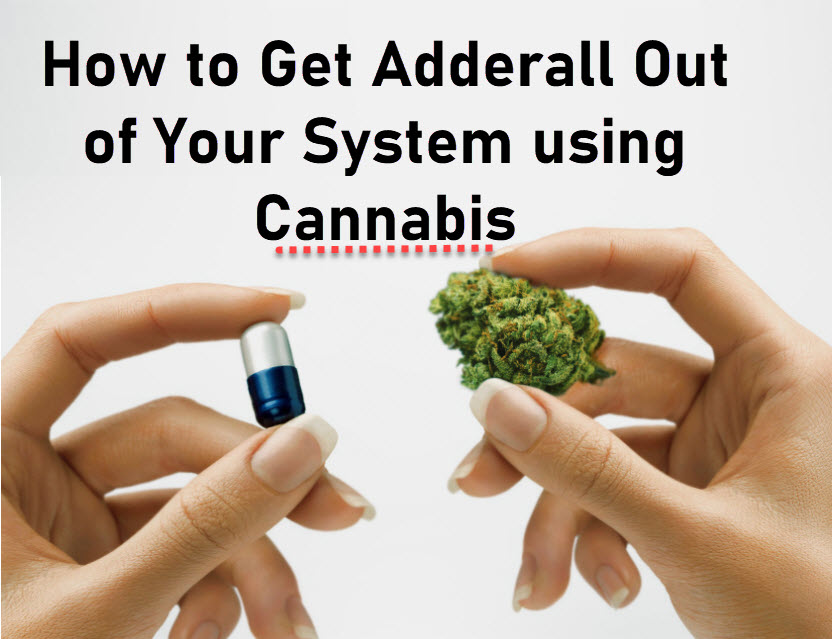 ADDERALL WITH MEDICAL MARIJUANA