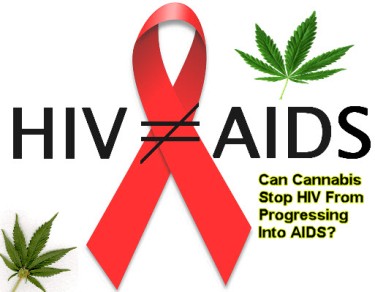 CANNABIS SLOWS PROGRESS FROM HIV TO AIDS