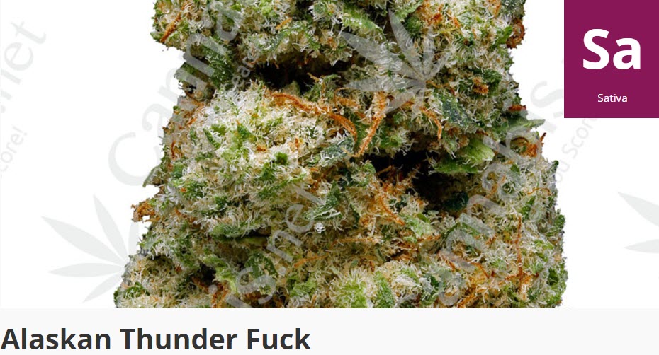 alaska thunder fuck cannabis