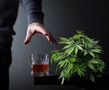 alcohol cravings and cannabis