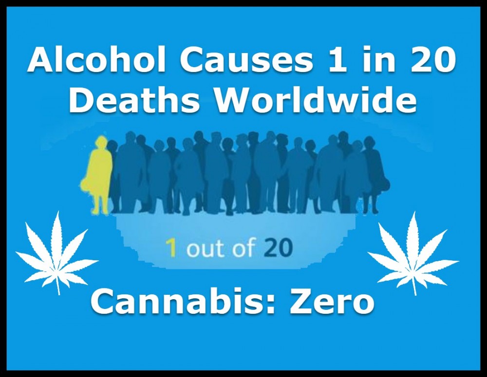 ALCOHOL CAUSES DEATH