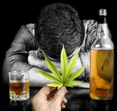 alcoholics guide to marijuana use