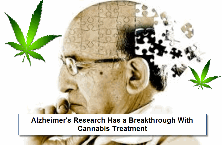 ALZHEIMERS AND CANNABIS