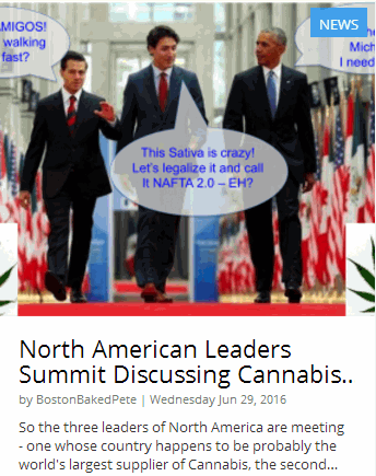 north american cannabis summit