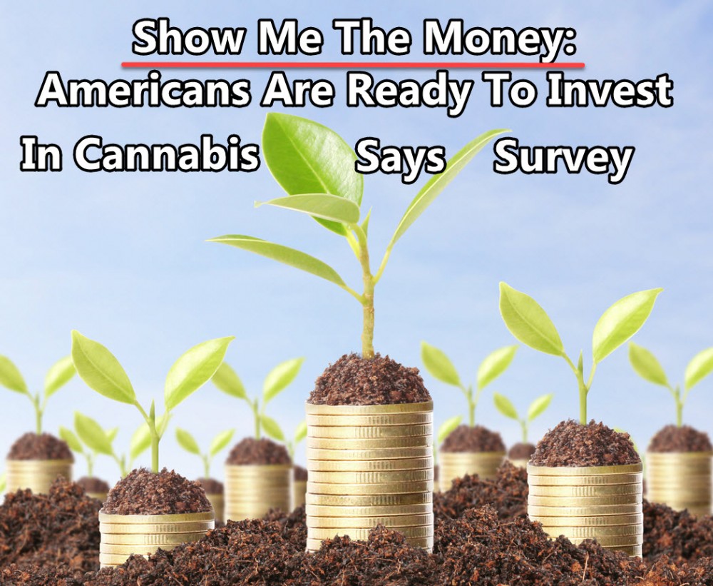 AMERICANS WANT TO INVEST IN WEED