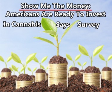AMERICAN READY TO INVEST IN WEED