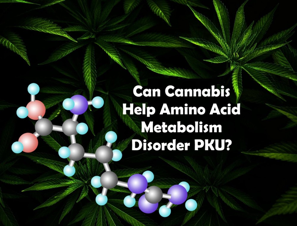 cannabis amino acids