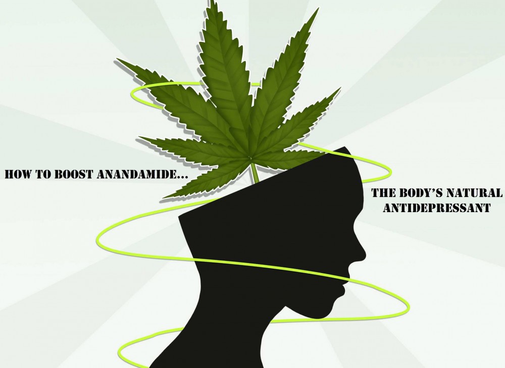 Anandamide thc and antidepressant