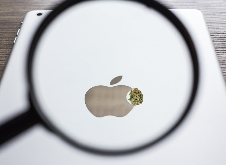 APPLE MAGNIGY GLASS FOR CANNABIS