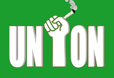 cannabis unions in Chicago area