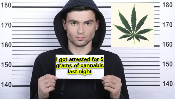 ARRESTED FOR CANNABIS LAST NIGHT