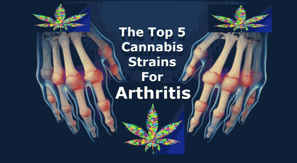 TOP CANNABIS STRAINS FOR ARTHRITIS
