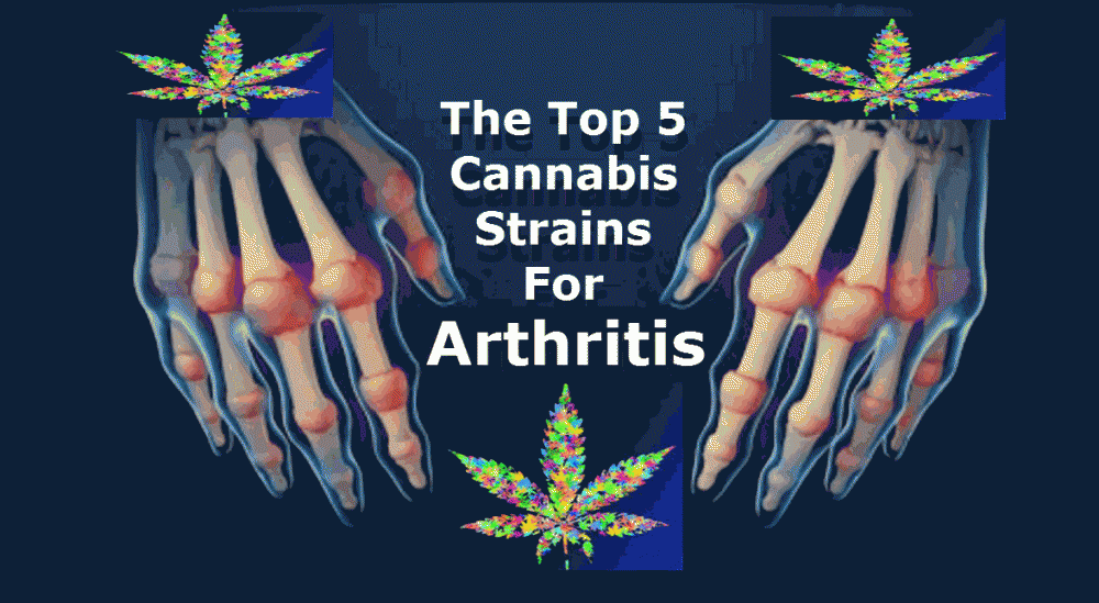 cannabis for arthritis