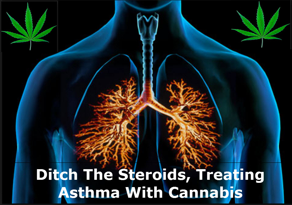 CANNABIS STRAINS FOR ASTHMA