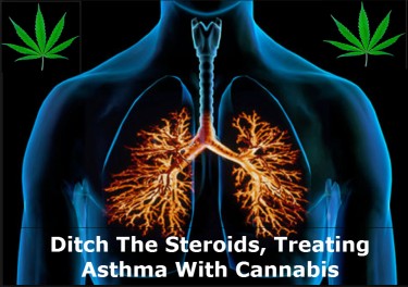 can cannabis treat asthma