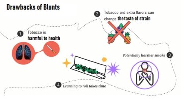 bad parts of a blunt