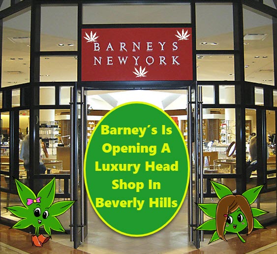 BARNEYS MARIJUANA SHOP