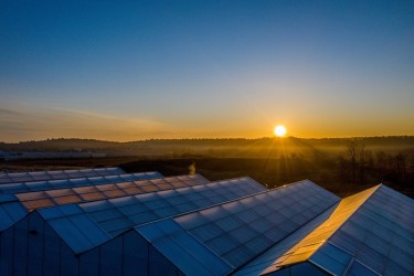 bask dispensary solar