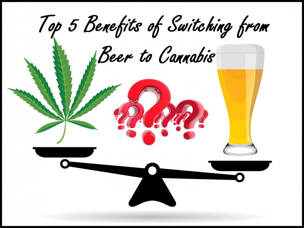 FROM BEER TO CANNABIS