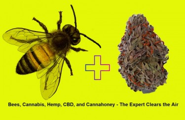 bees cannabis hemp honey