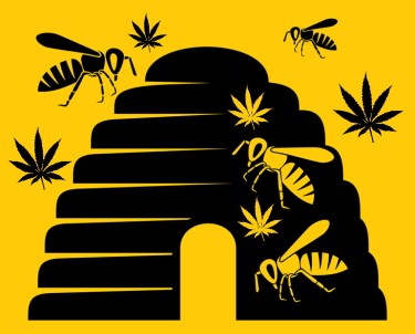 bees that eat hemp don't age quickly