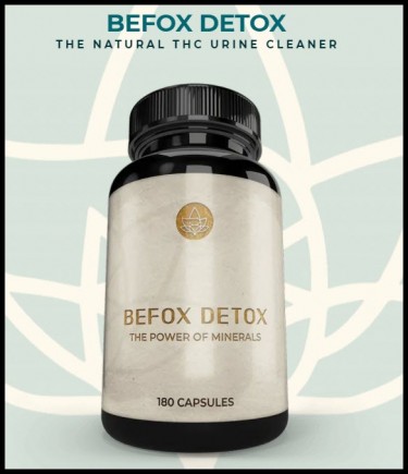 befox detox