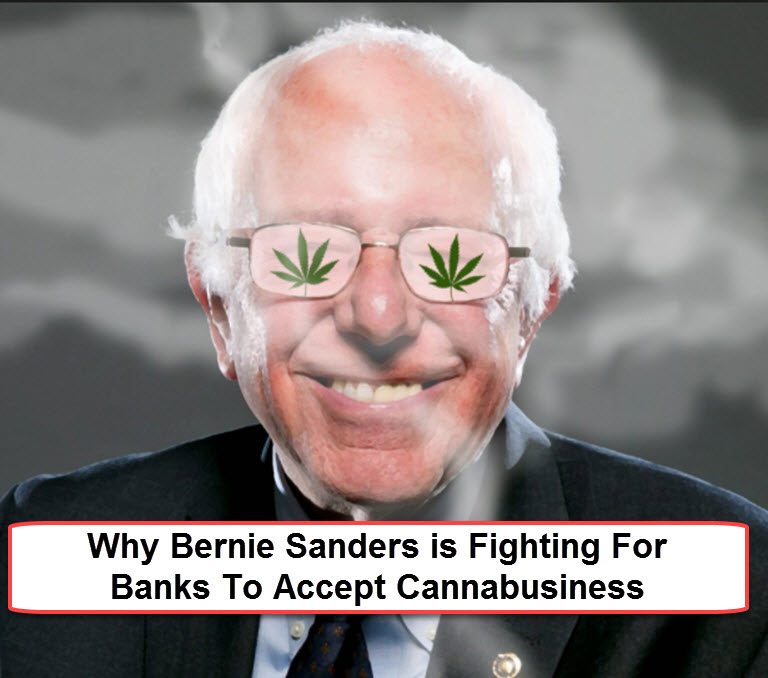 BERNIE SANDERS AND WEED