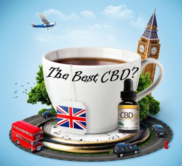 BEST CBD IN ENGLAND