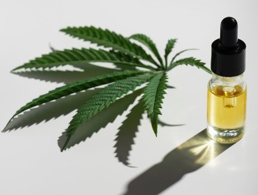 best cbd oil for your own body