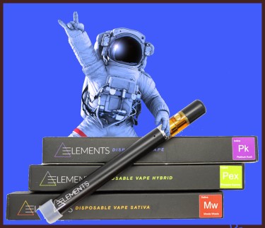 best disposable vape pens