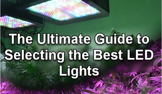 led GROW LIGHTS