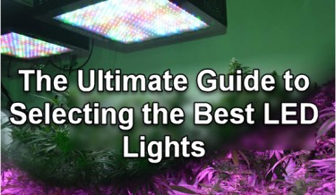 GUIDE TO LED GROW LIGHTS